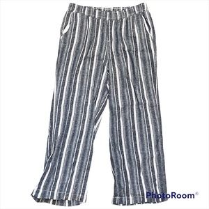 Briggs New York Linen Blend Blue Striped Pants - Size XL